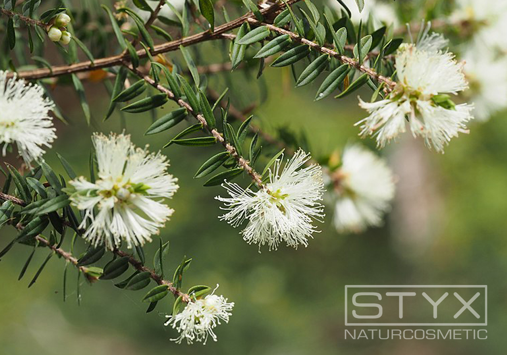 Прыщ нам не товарищ! Прыщ нам не товарищ!